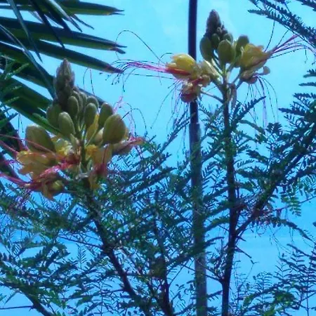 Valentina Appartamento *