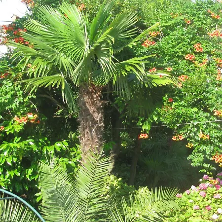 Valentina Appartamento Abbazia